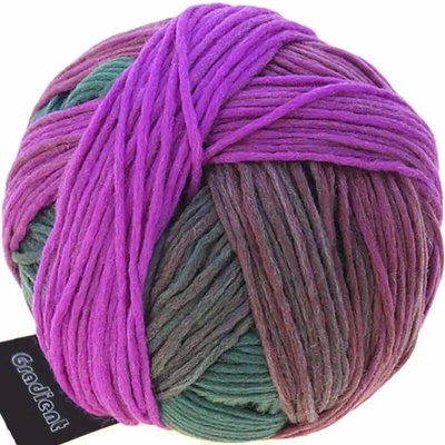 Schoppel Wolle Gradient 2249 Teezeremonie