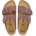 Birkenstock чехли дамски от велур Arizona Suede Cushion Buckle (1033103)