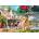 Anatolian - Puzzle Hide and Seek - 260 piese