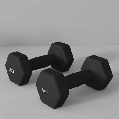 SPORTNOW Sada 2 hexagonálních činek s protiskluzovou rukojetí 2 x 5 kg