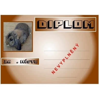 Králík beran malý diplom A4