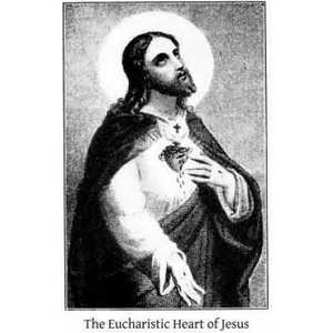 The Eucharistic Heart of Jesus: Readings for the Month of June | Father a Tesniere Sss, Brother Hermenegild Tosf (ISBN: 9781519419972)
