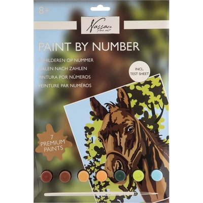 Malování podle čísel Kůň v ohradě