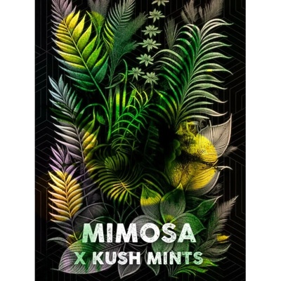 Tramuntana Seeds Mimosa Mints semienka neobsahujú THC 3 ks