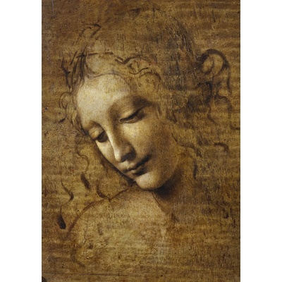 Bluebird Puzzle - Puzzle Leonardo da Vinci: La Scapigliata, 1506-1508 - 1 000 piese