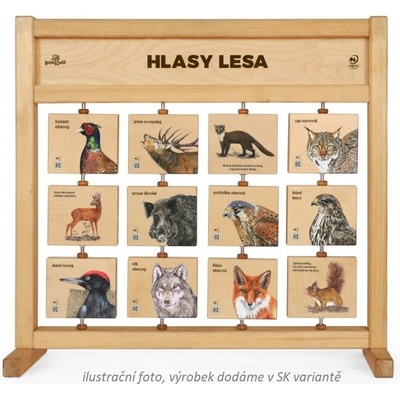 Lesní svět Hlasy lesa Stolné