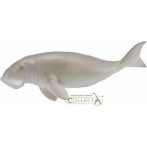 CollectA Diugon Coastal Figure