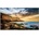 Samsung QE55T