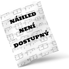 Flute Projekt New Pieces for Flute Solo