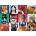 EUROGRAPHICS - Puzzle Funny Cats - 1 000 piese