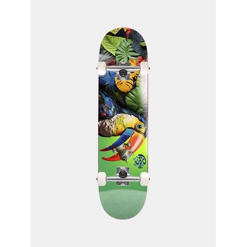 Push Toucan