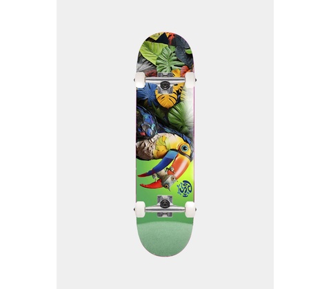 Push Toucan