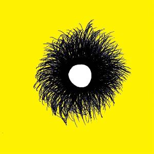 Jackson Scott - Sunshine Redux (LP) (0728028354522)