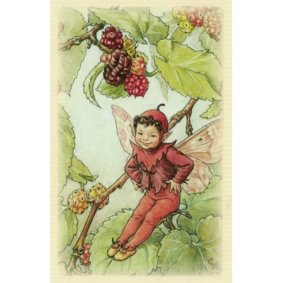 Pohlednice Květinová víla 44