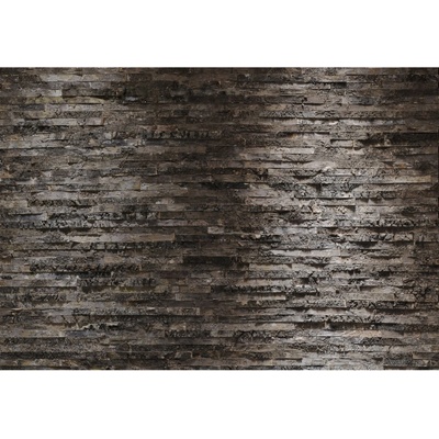 Komar 8-700 Birkenrinde Fototapeta kámen rozměry 368x254 cm