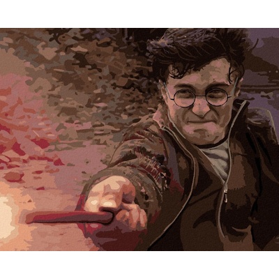 Malování podle čísel Harry Potter v souboji s Voldemortem