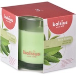 Bolsius Bolsius Polska Sprzedaż sp. z o. o. Ароматна свещ Bolsius Aromatic 2.0 в стъкло, 95x95 мм, Зелен чай