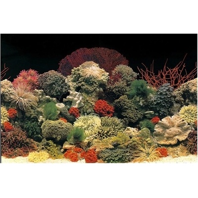 Ferplast Blu 9041 Background 60x40 cm