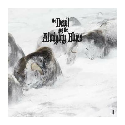 The Devil And The Almighty Blues: II LTD CLR LP
