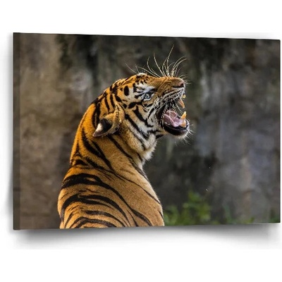 Sablio Obraz Revúci tiger - 90x60 cm