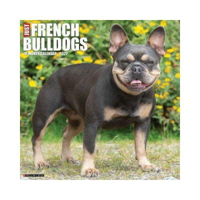 French Bulldogs 12 X 12 Wall 2027