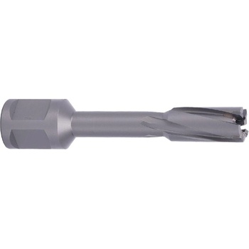 !!!! ABSE N-CA-W19-0110050