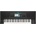 Ketron SD60