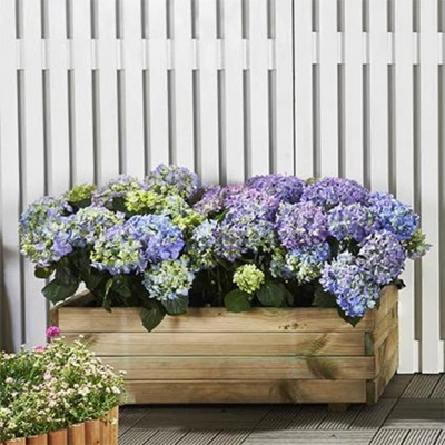 vyvýšený záhon / truhlík Lanit Plast POTTING8 (S7231)