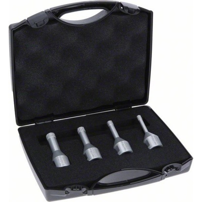 Bosch 2607017579
