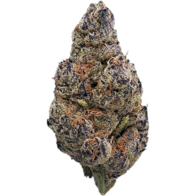 Highbreed Seeds Brick Banana Blocks Auto semienka neobsahujú THC 12 ks