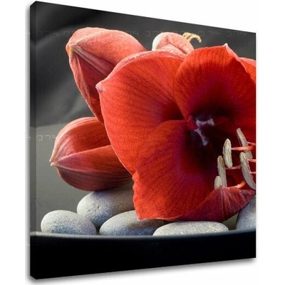 Obraz na stenu FENG SHUI - 30x30 cm