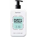 Kemon Healthy Scalp Shampoo posilující šampon proti lupům 1000 ml