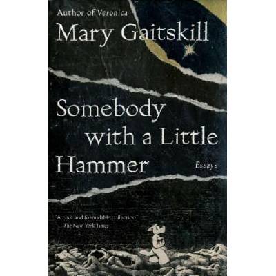Somebody with a Little Hammer