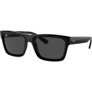 Ray-Ban Warren RB4396 667787