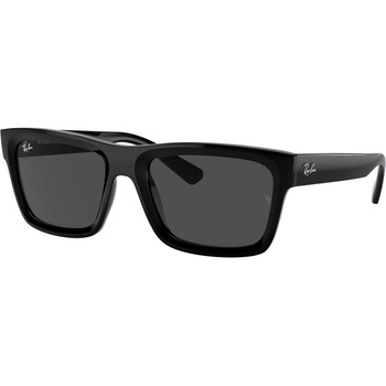 Ray-Ban Warren RB4396 667787