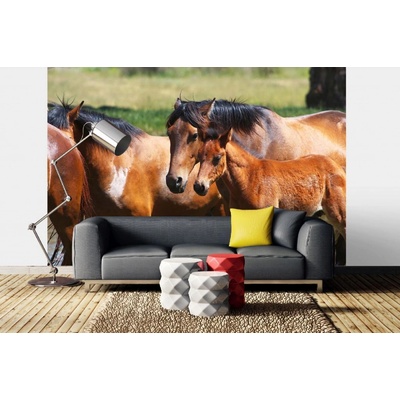 Dimex MA-5-0422 Samolepicí vliesová fototapeta na zeď Koně s hříbětem rozměry 375 x 250 cm