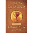 Dragonfly in Amber