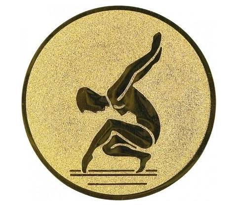 Emblém E44 gymnastika