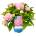 Endless Summer® The Original® Pink - Endless Summer - Хортензия макрофила