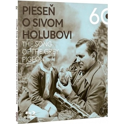 Pieseň o sivom holubovi BD