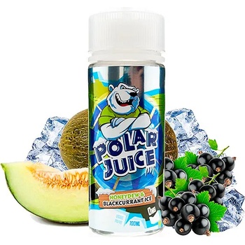 Image 1 of Polar Juice Honeydew & Blackcurrant Ice 100ml - Polar Juice