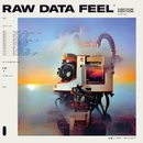 Raw Data Feel - Everything Everything LP