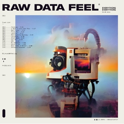 Raw Data Feel - Everything Everything LP