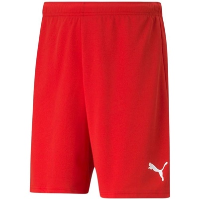 Puma teamRISE M