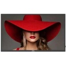 Philips 50BDL4650D/00