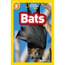 Bats - Carney Elizabeth