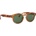 IZIPIZI Sun Junior #C Havane (за възраст 7 - 11 години)