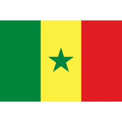 Senegal vlajka - 30 x 45 cm - tunel, karabina