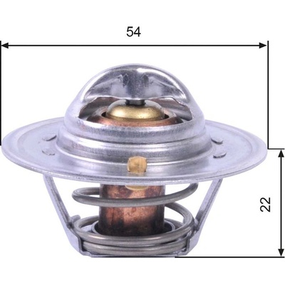 Termostat GATES (GT TH12888G1)