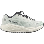 Salomon Дамски маратонки Salomon Women's Aero Blaze 4 GRVL Running shoes - Clearly Aqua / Vanilla Ice / Black - размер 36 2/3 (EU) (123-2616-0112)